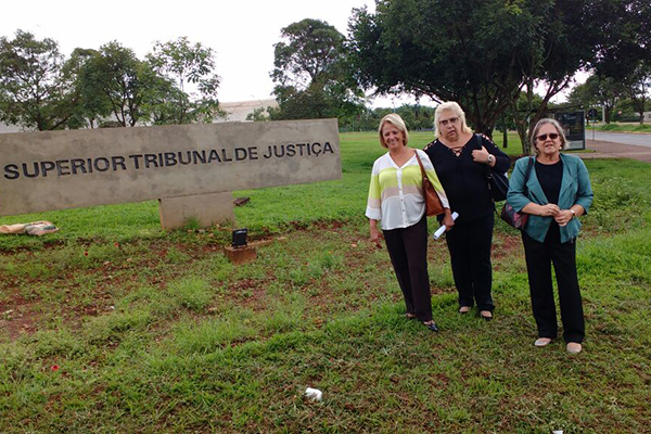 Conselho Executivo visita tribunais em Brasília