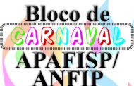 Bloco de carnaval ANFIP/APAFISP contra a Reforma da Previdência