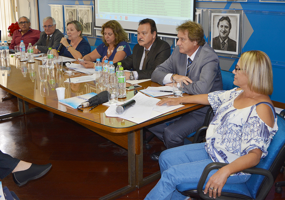 Reunião de Representantes aborda reforma da Previdência, Bônus de Eficiência e eventos da APAFISP