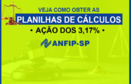 Processo dos 3,17%: veja como obter as planilhas de cálculos com a Anfip e o Sindifisco Nacional