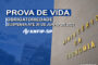 Anfip inicia teste de Voto Eletrônico para eleições; saiba como participar!