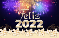 ANFIP-SP deseja boas festas