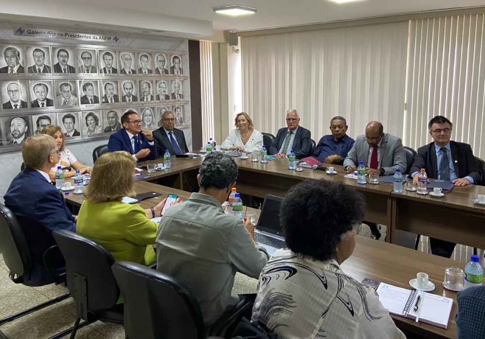 Conselhos da Anfip Nacional reafirmam compromisso com a carreira e os associados em reunião